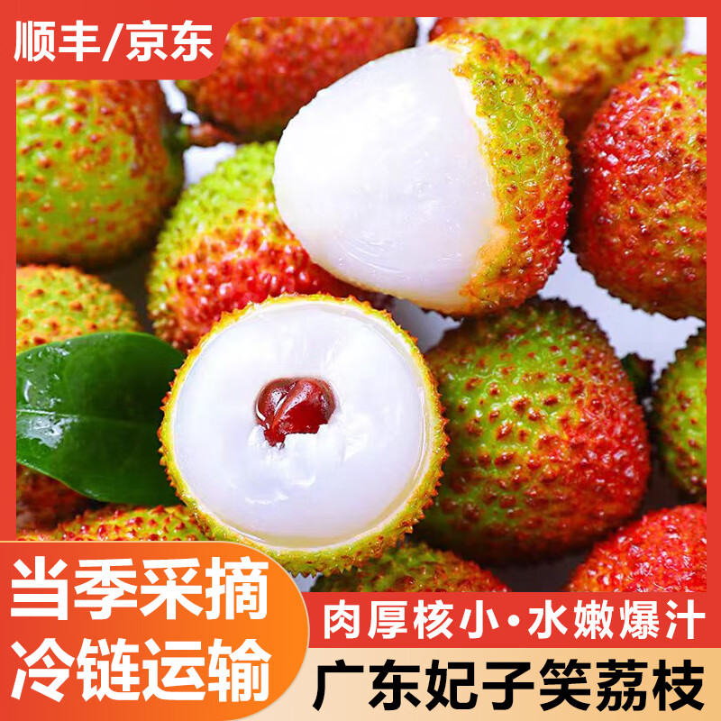 广东妃子笑荔枝 净重4.5斤 单果18g