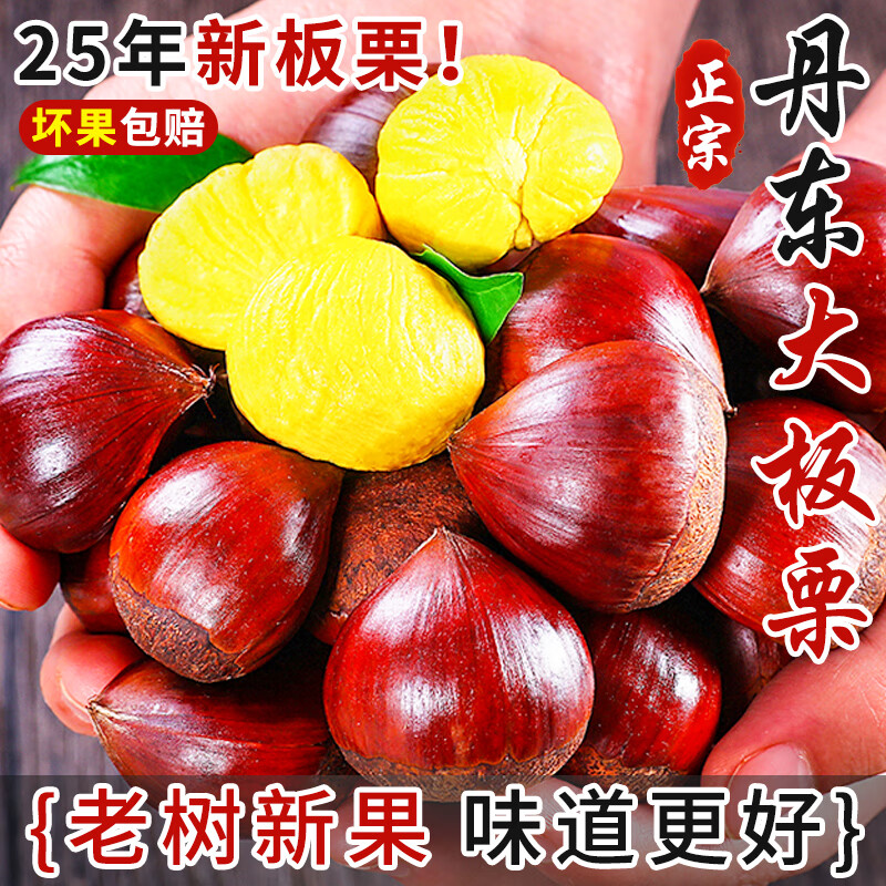 亨迅丹东板栗新鲜生栗子2025年生板栗应季时令蔬菜 净重 4.5斤 大果装