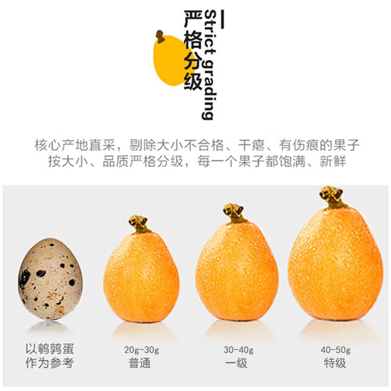 酷果汇枇杷当季四川正宗高山新鲜琵琶孕妇水果当季甜枇杷源头直发包邮 单果40-50g (净重2斤) 产地源头直发 品质甄选