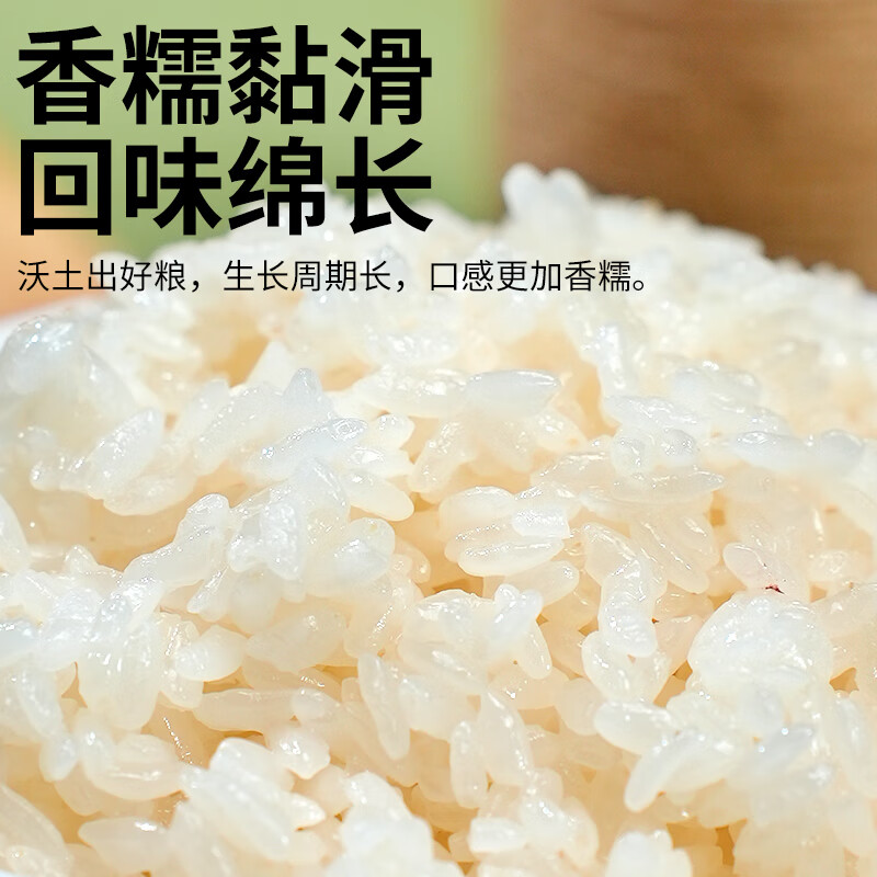 盖亚农场（Gaia Farm） 有机糯米1.25kg 江米粽子米 黏米 米饭伴侣 八宝粥原料 真空装 有机糯米1.25kg