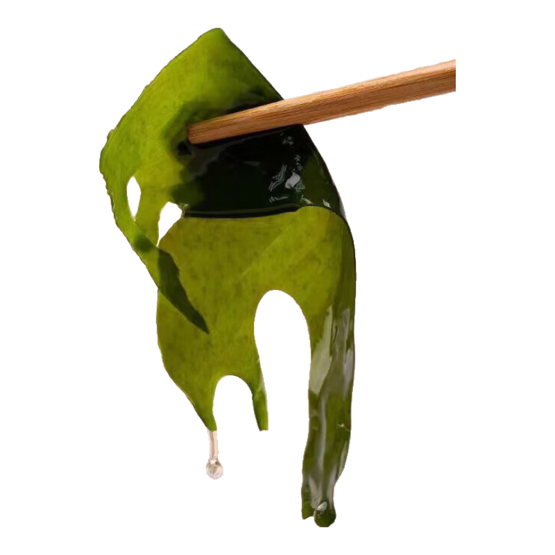 裙带菜 鲜海带非干货海带嫩苗儿童海菜海白菜海藻菜凉拌 裙带菜嫩叶500g