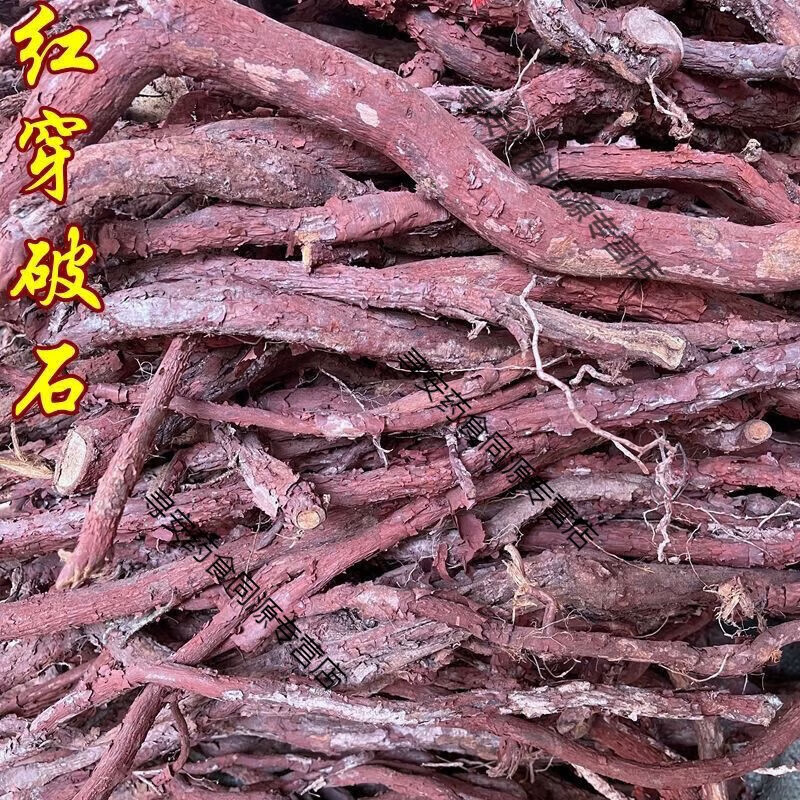 同仁堂广西红穿破石根野生铁牛入石血风根状元红根红蛇根红皮中药材