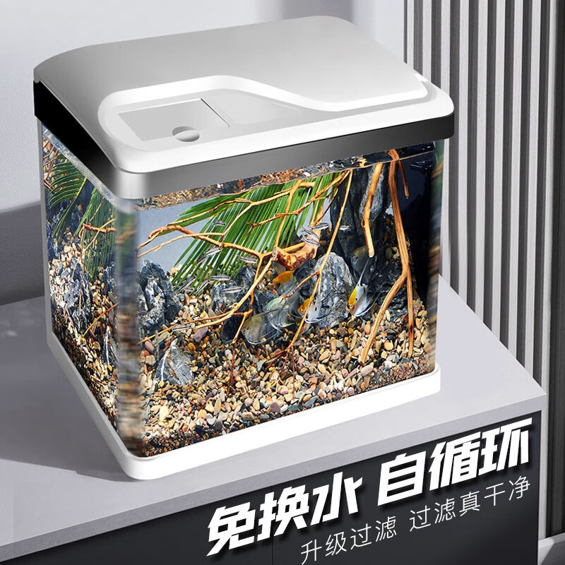 SICCE���������׼��ÿ����칫�ҽ������С�Ͳ�����׹������ T-240F��240*165*280��