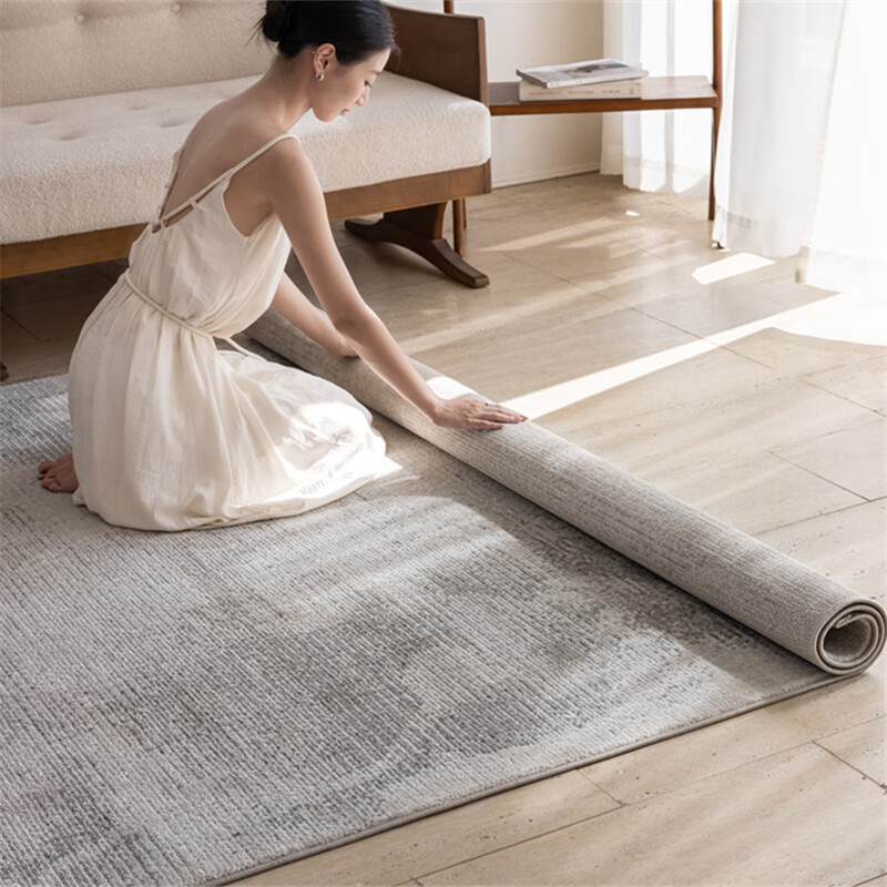 致尚美学新款地毯客厅降噪防猫抓零甲醛好打理北欧奶油风茶几毯卧室床边毯 塞力斯01【高档仿羊毛混纺材质】 2m*2.9m 加厚加密【2.6-3米沙发推荐】