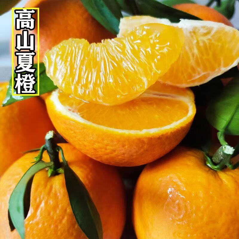 繁沙正宗秭归高山夏橙新鲜大果 净重9斤55-60mm