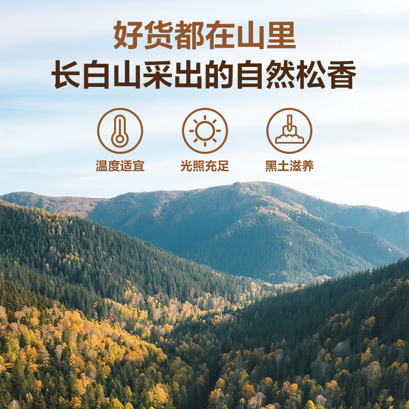 1号会员店 东北红松子开口500g 坚果炒货零食儿童