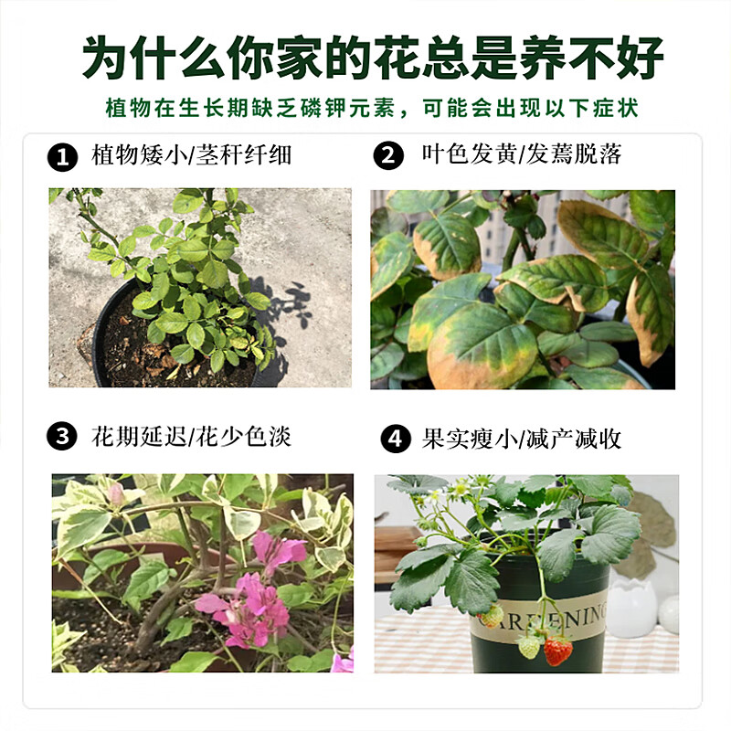 花花与我高纯度磷酸二氢钾开花专用水溶肥花肥促花肥花卉绿植通用花卉肥料 250克/瓶