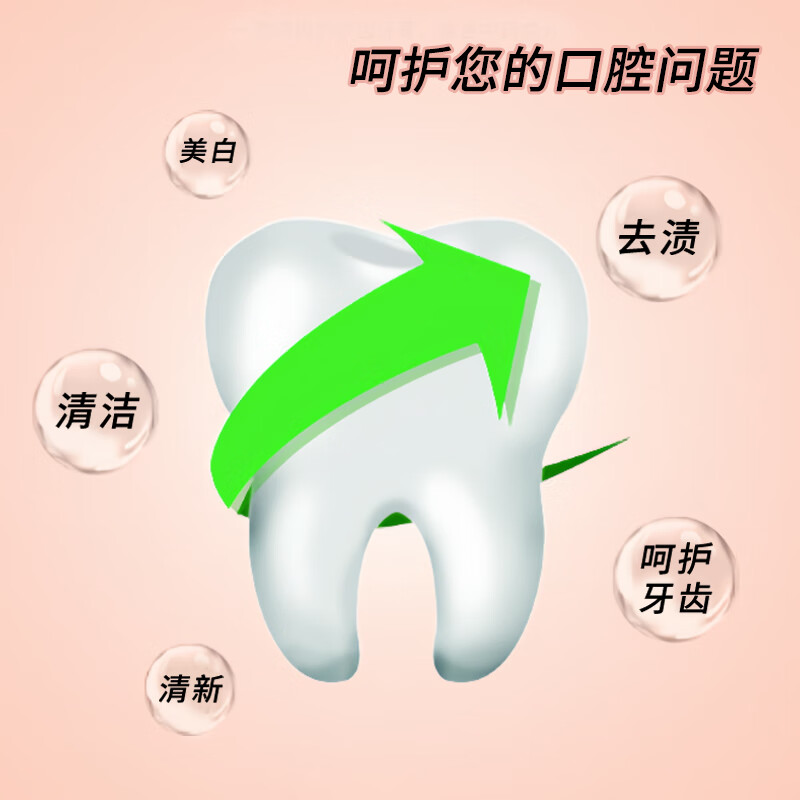 盐家 SALT PLUS太华矿物盐金银花护龈牙膏 去黄清新口气牙膏 金银花护龈牙膏【220g*1支】
