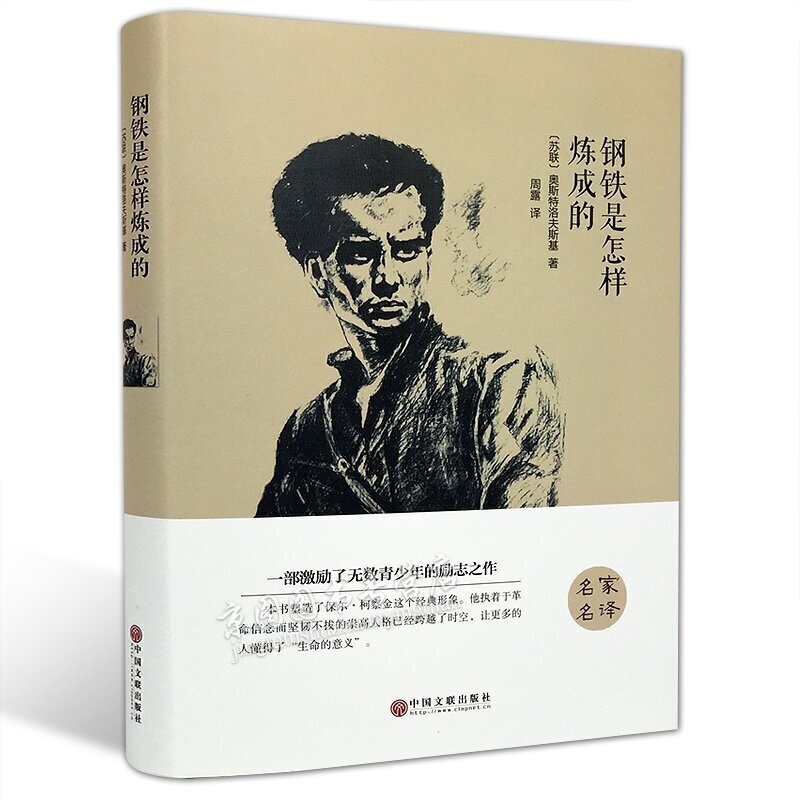 钢铁是怎样炼成的 全译本 原版原著中文版 钢铁是怎么炼成的书籍 世界经典文学名著小说