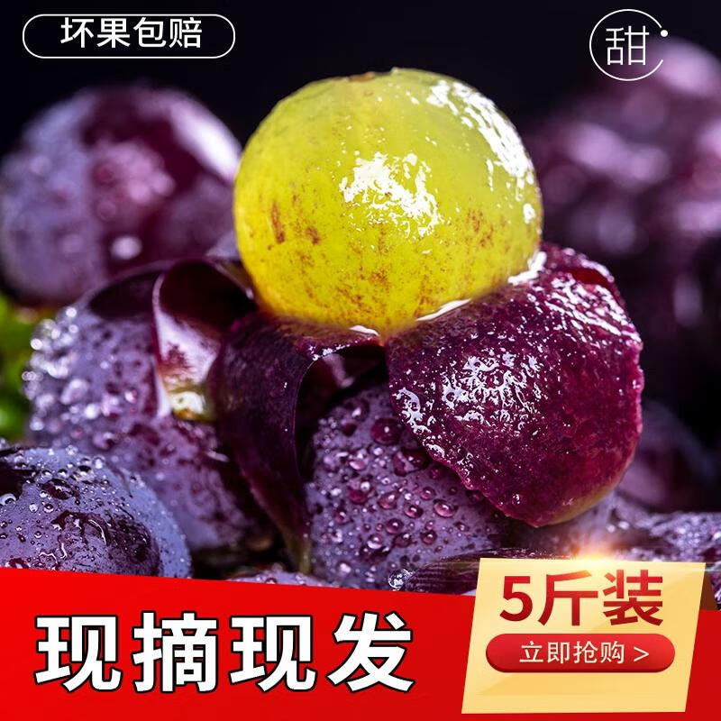陕美农人正宗陕西特产八号葡萄现摘现发果园沪太8陕西新鲜水果当即葡萄 五斤中果(单颗粒6-8克) 京东物流-送货上门