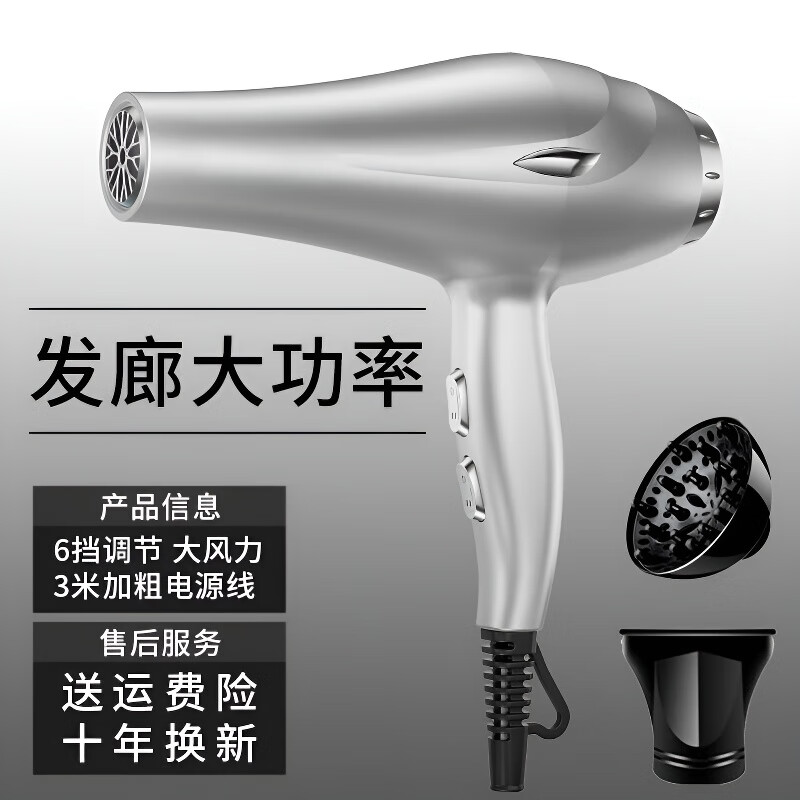 飒望【德国】吹风机家用大功率宿舍静音吹风机发廊大风电吹风筒蓝光理发店冷热风负离子不伤发干发器 银色3800W-3米电源线