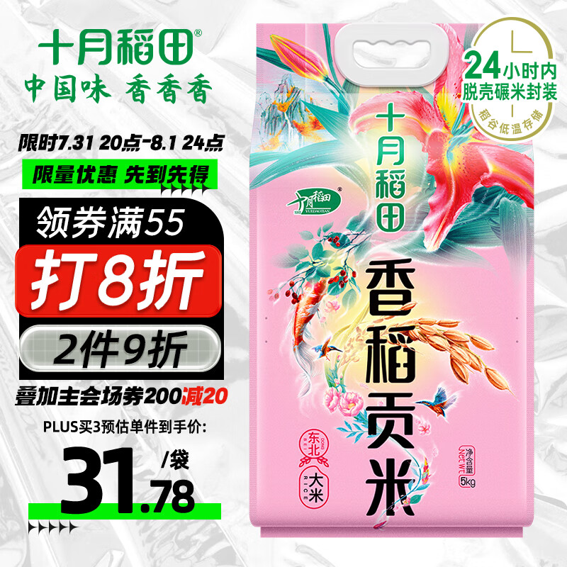 ʮ�µ��� �㵾���� 5����