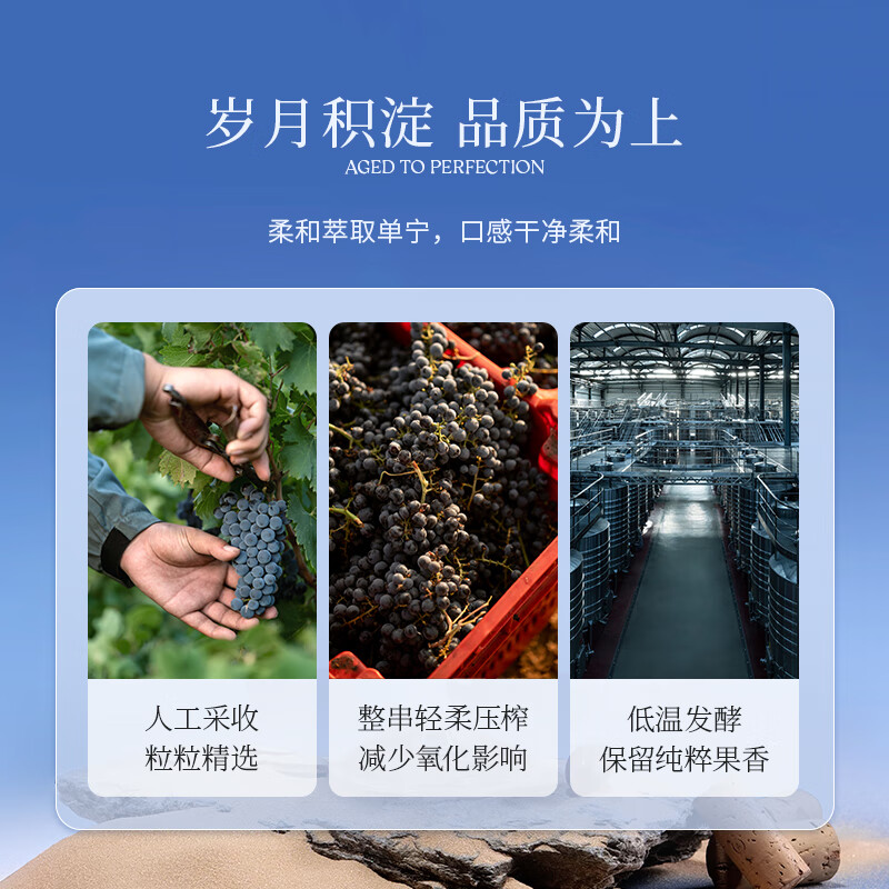 西鸽酒庄宁夏贺兰山葡萄酒干红 宋彩釉蓝赤霞珠国产红酒 口粮酒礼物 整箱750ml*6