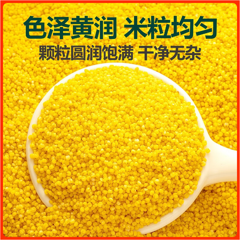 王老宝东北有机黄小米 月子米油新米 粘糯粗粮 早餐粥米伴侣 宝宝辅食粥 有机小米5斤