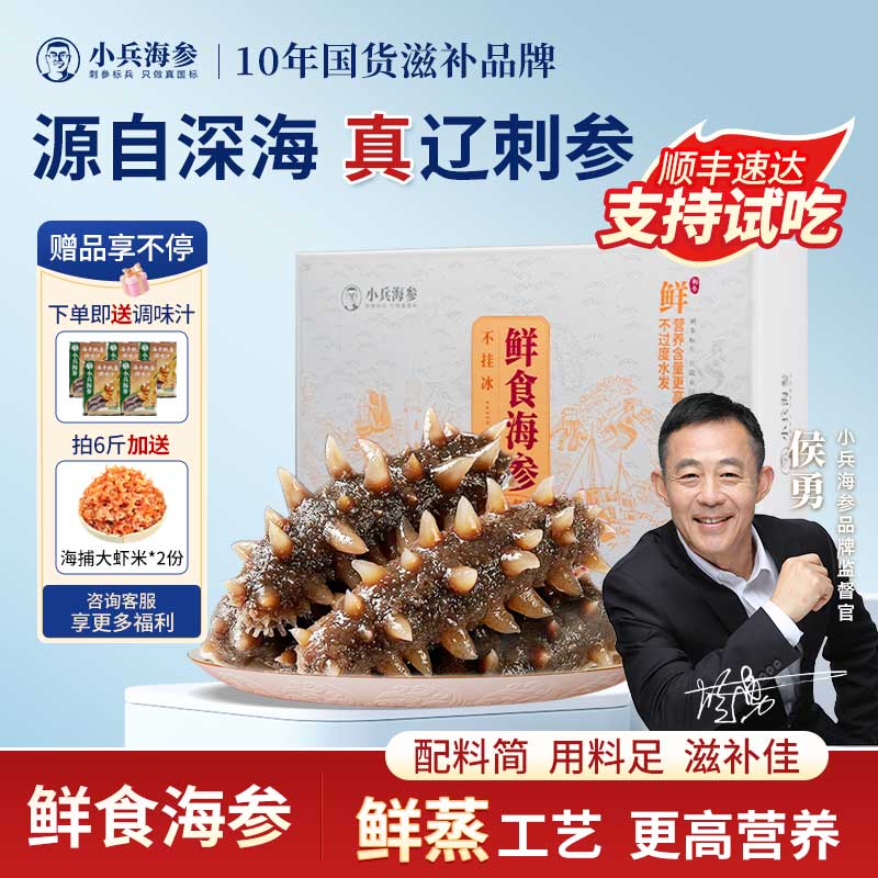 小兵海参即食海参鲜食海参官方店辽参大连海参鲜活野生海渗独立包装袋一斤 3斤（送参鲍汁） 10-12只/斤