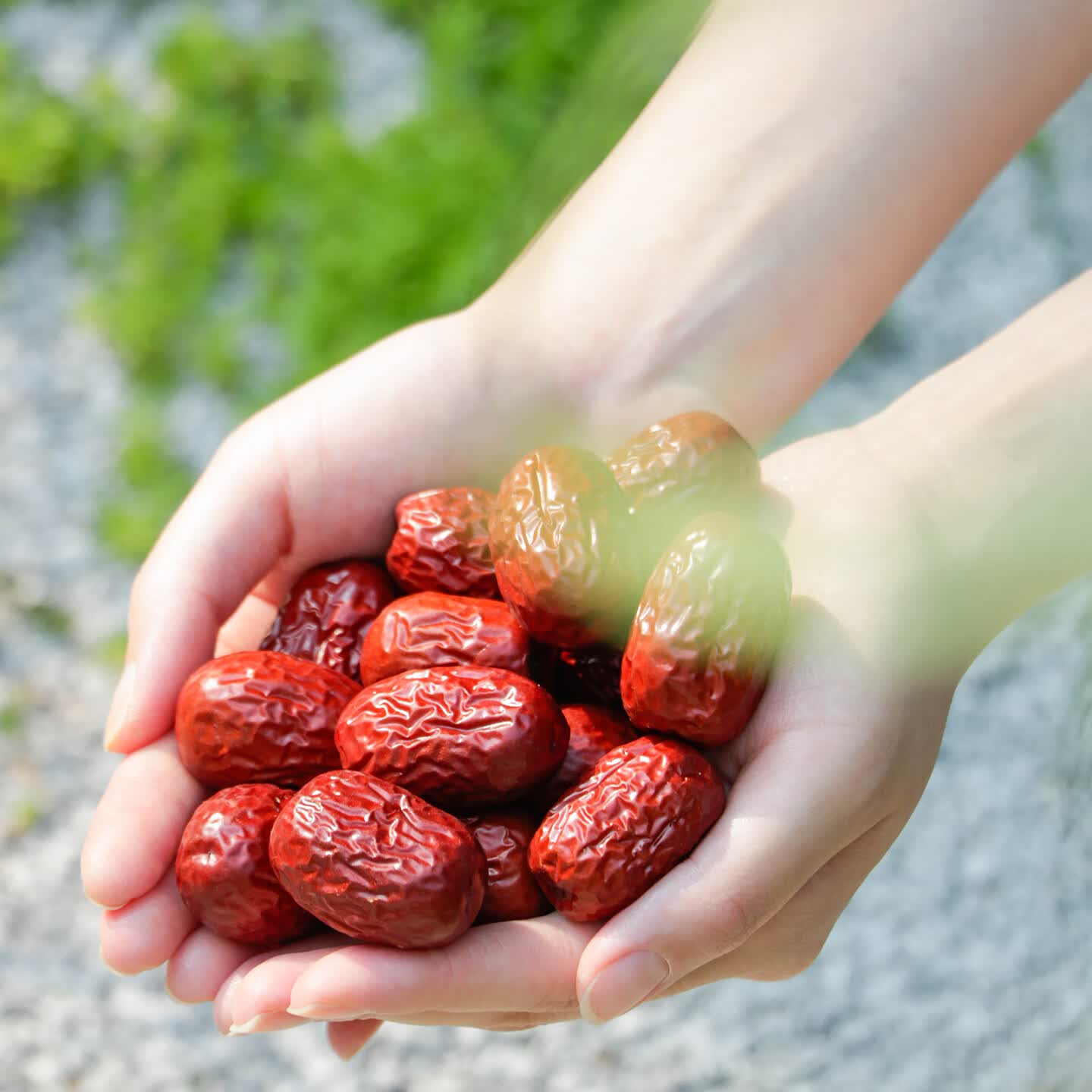 北纬纯净食品|38°新疆若羌特产灰枣红枣精选大枣原粒吊干免洗枣零食果干 3盒