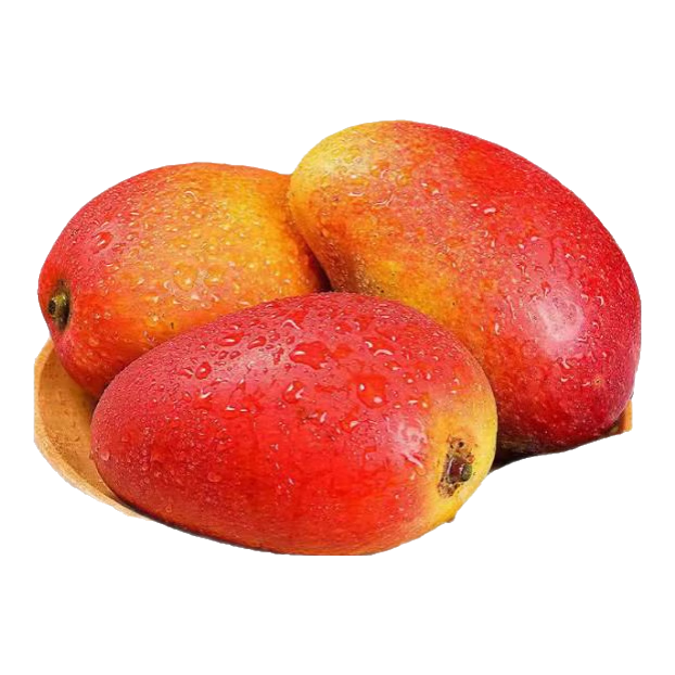 ڲʹâժ쵱âиˮ 4.5-560g-100g9.8Ԫ
