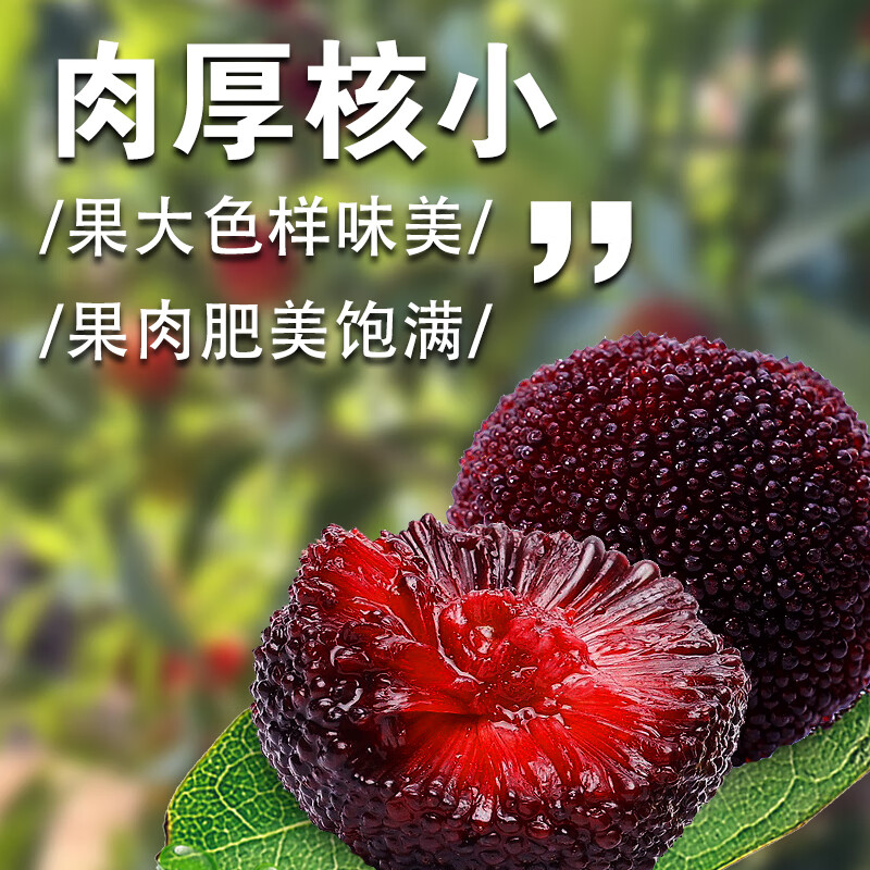 异果恋云南杨梅【JD空运】新鲜当季应季时令水果 鲜嫩多汁多地次日达 2斤装（小蓝子装）