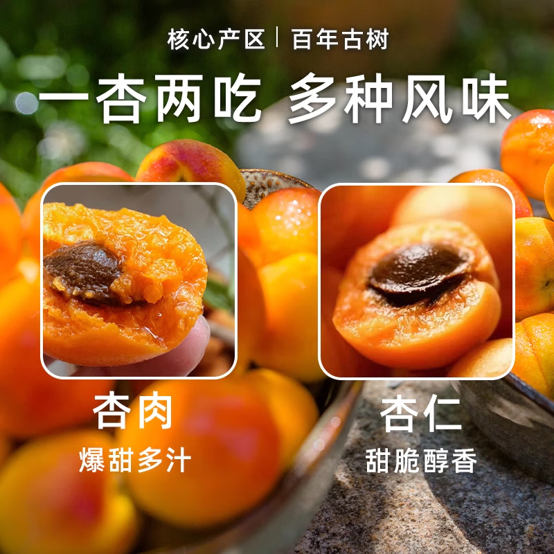 【顺丰空运】正宗新疆小红杏阿克苏吊杆杏现摘新鲜甜杏子整箱 【实惠装】小红杏4斤