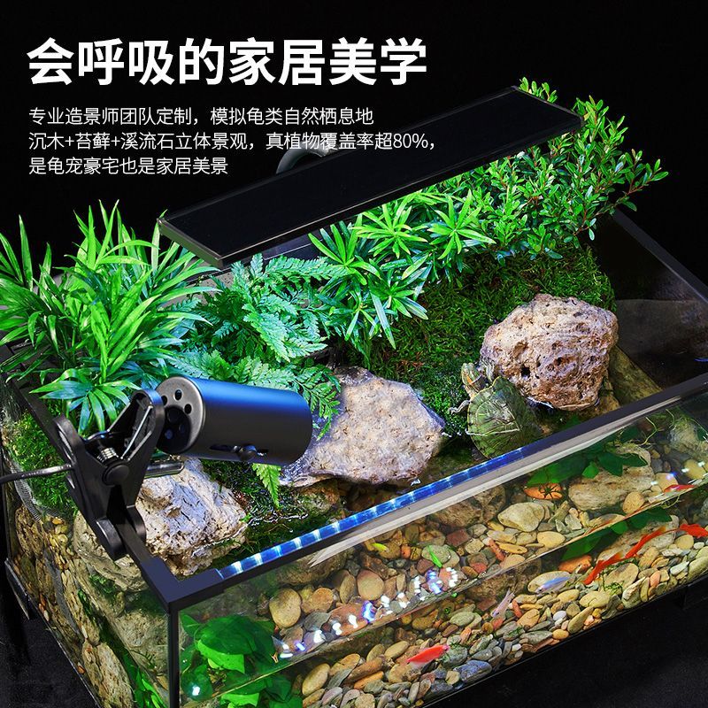 乌龟缸高清玻璃生态造景龟鱼缸一体混养生态缸客厅专用家用饲养缸 60雨林全套【缸+设备】