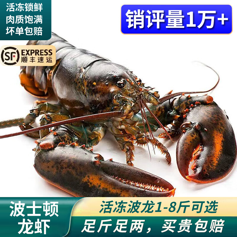 ��з����ʿ����Ϻ�䶳���ô���ڲ������ʺ��� �������� ��������(3.6-4��/ֻ)��ʯ���� 2200Ԫ��5��(��440Ԫ/��)