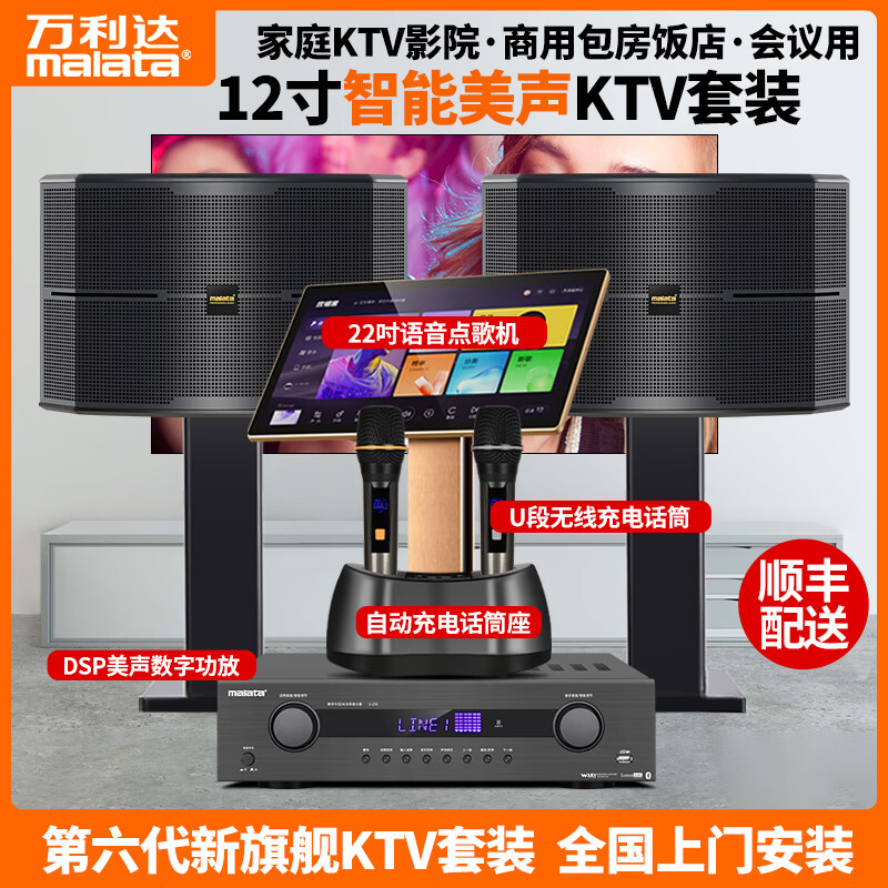 萬(wàn)利達(dá)ktv唱歌全套設(shè)備家用一體機(jī)卡拉OK客廳重低音炮音響點(diǎn)歌機(jī)投影儀K歌 十二寸豪華款DSP美聲功放+點(diǎn)歌機(jī)