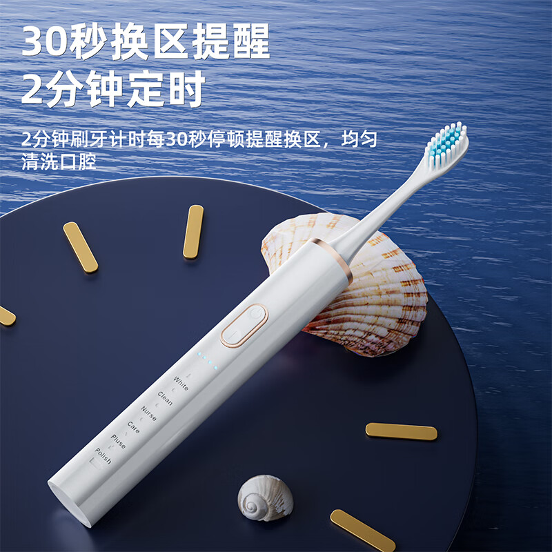 志高(CHIGO)科技下一代脉冲电动牙刷水疗刷成人声波震动清洁亮白护龈 轻巧便携款IPX7级防水高频磁悬浮波机芯 骑士黑6大模式-4支刷头-脉冲清洁 【真·超声波】送女朋友实用礼物