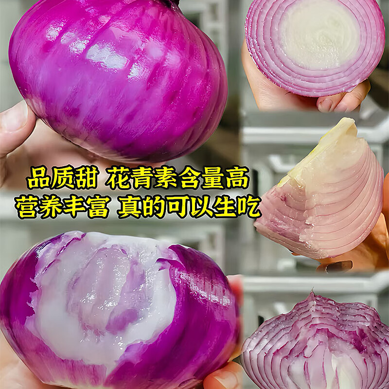 京鲜生 云南紫皮洋葱带皮 净重6.18斤 单果净重150g+ 红皮圆葱 源头直发