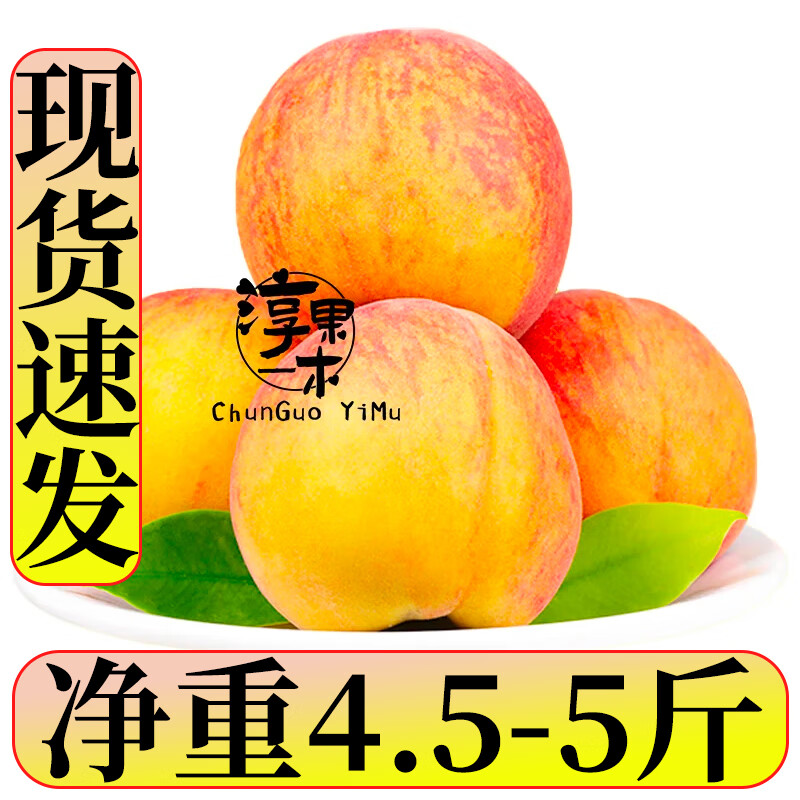 淳果一木 新鲜黄桃 彩虹黄桃黄毛桃子 水黄金桃蜜子桃 新鲜生鲜水果 5斤（净重4.5-5斤）