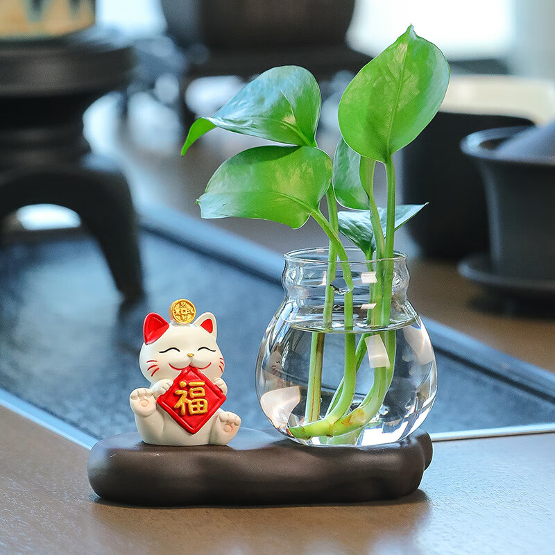 ���ܻ�������֬���հڼ�èˮ�ಣ����ƿ��ͨ�ɰ�Сè����װ��Ʒ ��èè+�մ�ˮ��/������ֲ