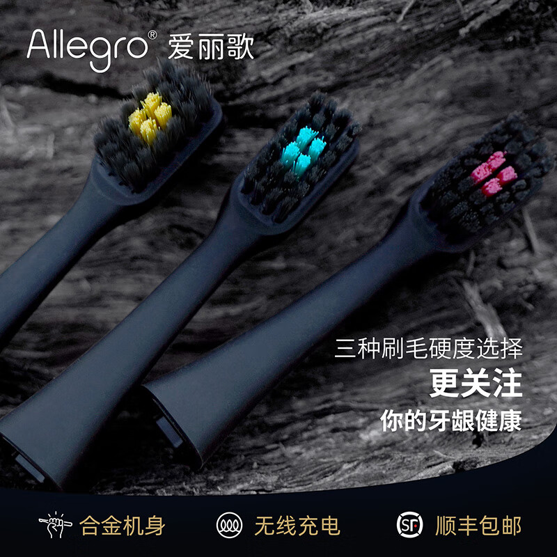 Allegro爱丽歌声波电动牙刷成人情侣款软毛家用全自动深度清洁护龈奢华送男友女友生日结婚纪念送老师礼物 深空灰