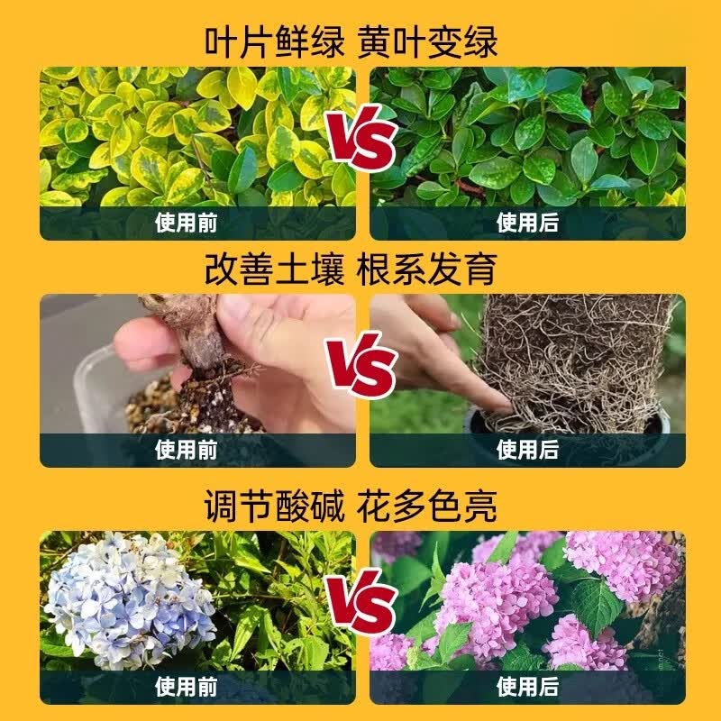智绿硫酸亚铁花肥料喜酸植物栀子花茶花杜鹃花桂花水溶肥防黄叶家用肥 硫酸亚铁瓶装500g