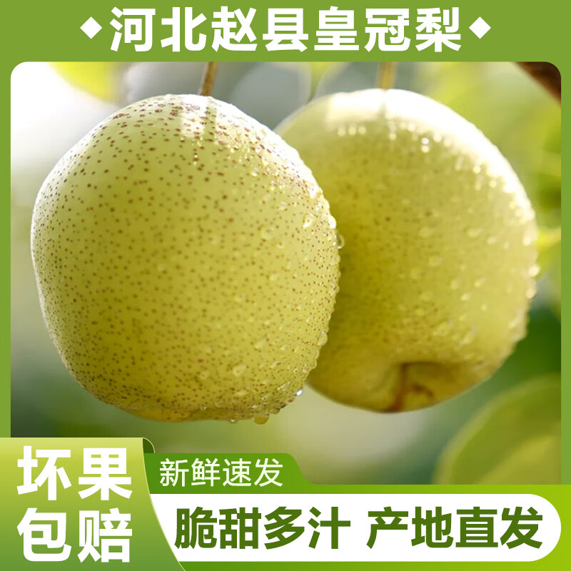 甄仙缘河北赵县青皮皇冠梨 脆甜多汁水果梨 当季新梨 产地直发 带箱5斤
