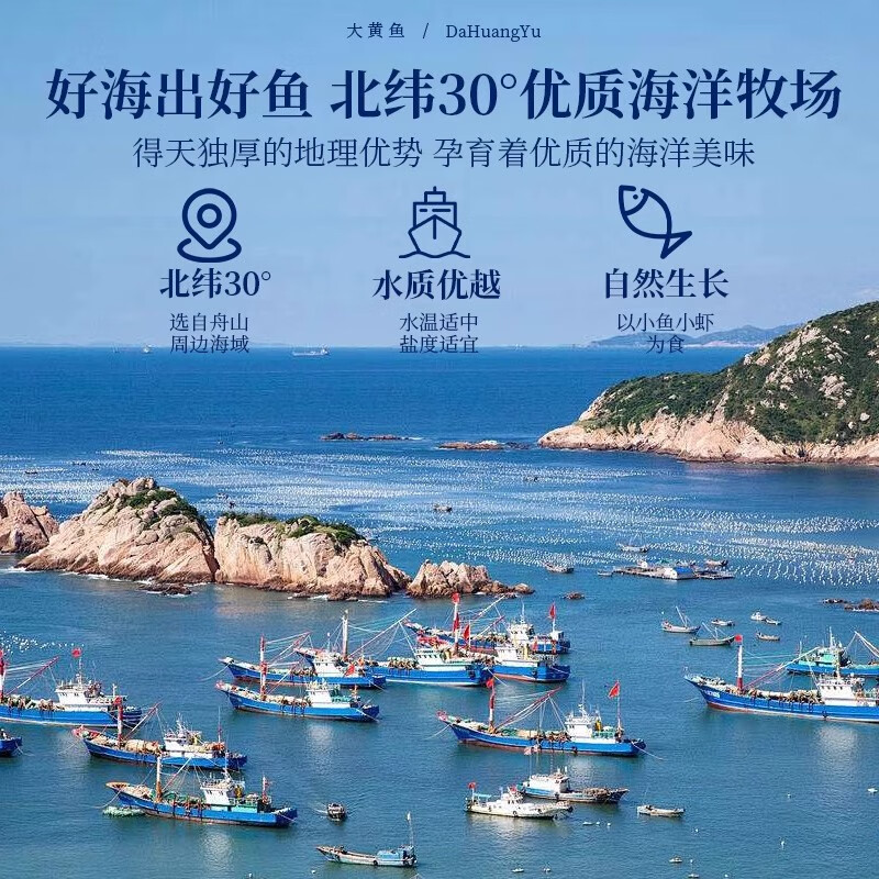 昌鲜园舟山海鲜大黄鱼礼盒半野生黄花鱼鲜活冷冻生鲜商务团购礼包送长辈 4条礼盒装【每条约1.2斤】