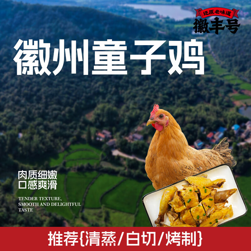 徽丰号 徽州童子鸡3只装 无抗标准谷饲喂养真空净膛生鲜冷冻鸡肉 650g3只装
