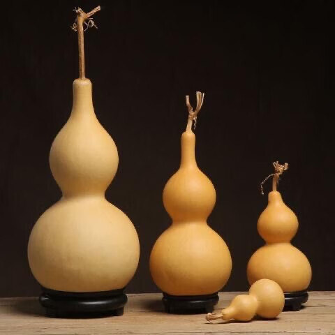 天然葫芦风水挂件客厅招财大号镇宅摆件带龙头居家办公文玩小葫芦 46至49厘米有龙头品相好 摆件送底座五帝钱