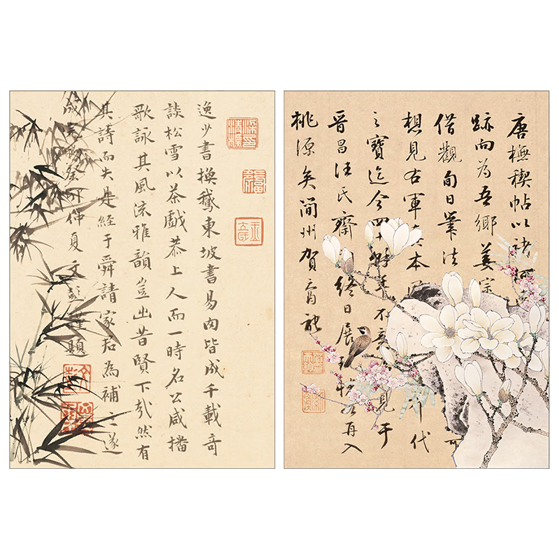 DOROCH װֽ10 ֹDIYƷʻţƤֽֽʥڸж