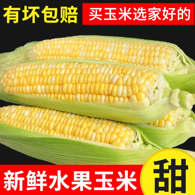 牛爱田 云南新鲜水果甜玉米头茬现摘金银玉米新鲜玉米现摘带皮发货 3-3.5斤 超值装净重2.6斤+ 自有农场