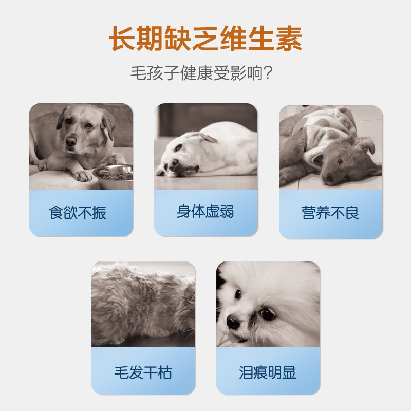 喵卡哆夫【MAKAR】宠物维生素益生菌卵磷脂鱼油 去泪痕美毛呕吐软便防掉毛 复合维生素片 【1瓶装】200片