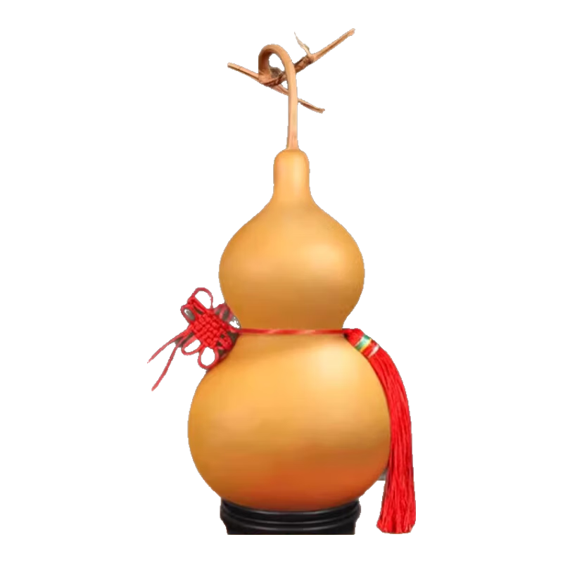 ɽ����Ȼ��«�ڼ����«��ˮ�Ҽ���Ŵ���ͷ����С��«���Ǯ�������� ��30-35cm-��ͷ��«�����Ǯ 875Ԫ��5��(��175Ԫ/��)