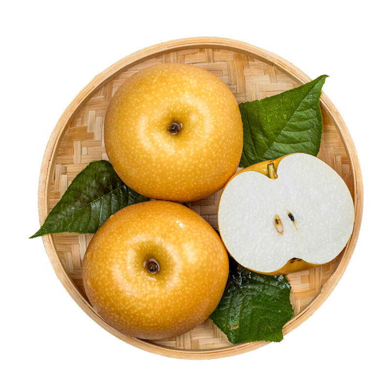  ɽ ֬ 5-7 3 װ 15.9Ԫ