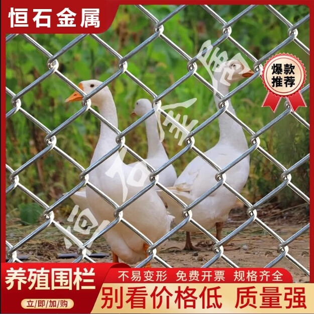 熱鍍鋅圍欄網(wǎng)牛羊養(yǎng)殖鋼絲防護(hù)網(wǎng)養(yǎng)雞勾花鐵絲網(wǎng)防銹加粗果園護(hù)欄 可聯(lián)系客服