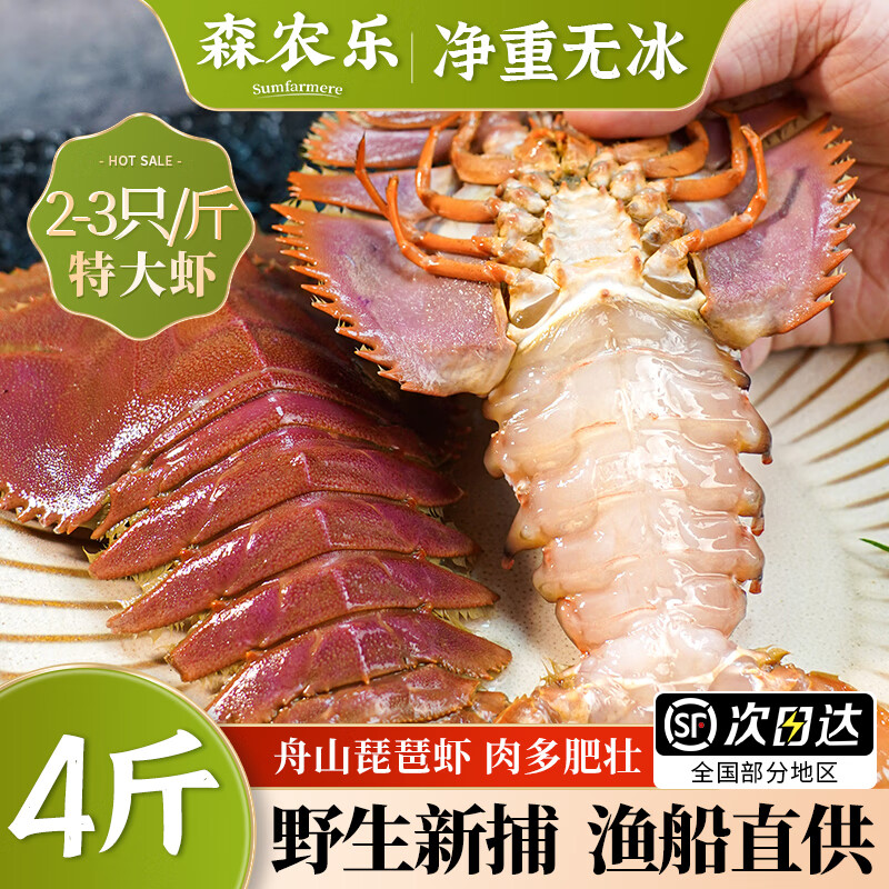 森农乐舟山琵琶虾鲜活特大生鲜冷冻九齿扇虾姑新鲜濑尿虾深海海鲜爬虾 1500g(净重)  11-13cm（7-8只/斤）