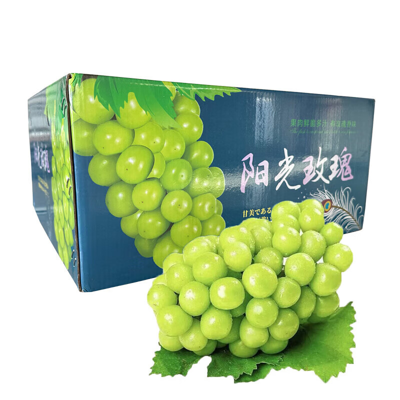 佟创四川阳光玫瑰葡萄青提晴王香印水果现摘现发 【现货速发】净重4斤(单果8g+)