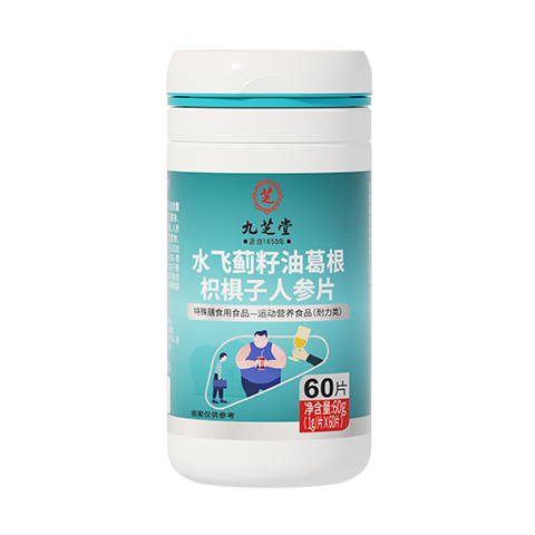 九芝堂水飞蓟籽油葛根人参片60片喝酒熬夜应酬肝火维生素b1b2族养肝护肝