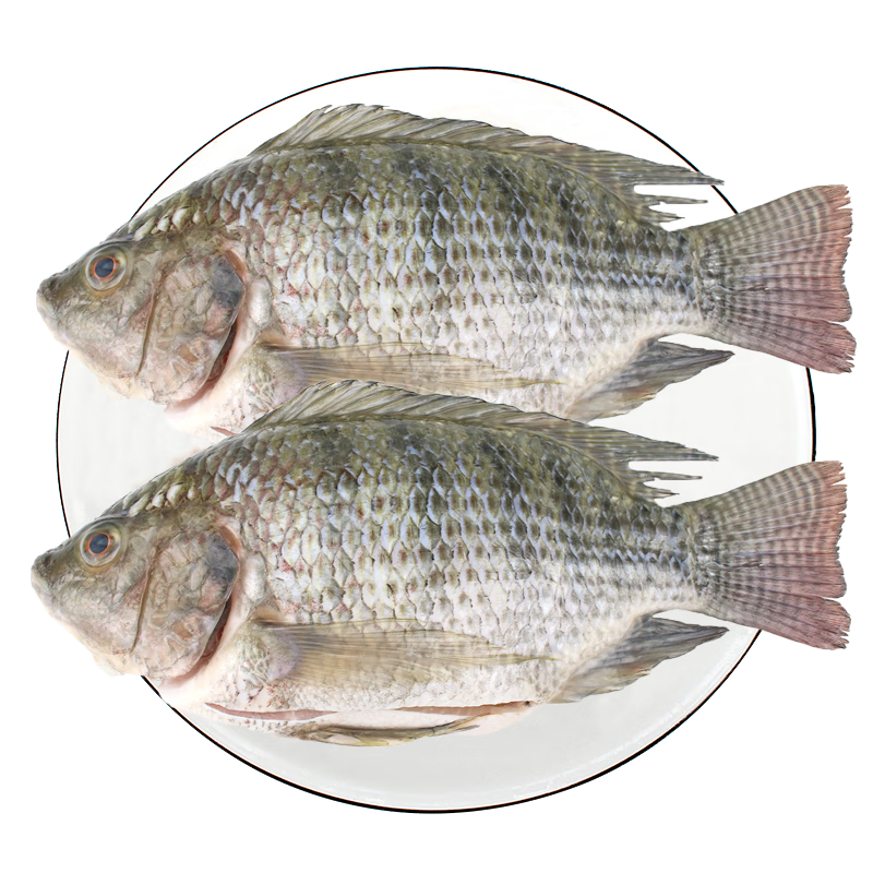 ����ˮ����ȥ�޷���/ï���޷���2.8��/��4�� �⴦��ȥ��ȥ��ȥ���� ���� 125.79Ԫ��3��(��41.93Ԫ/��)