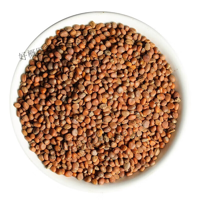 同仁堂莱菔子中药材炒白萝卜籽炒白萝卜籽粉生萝卜籽可磨 道地[莱菔子100g]