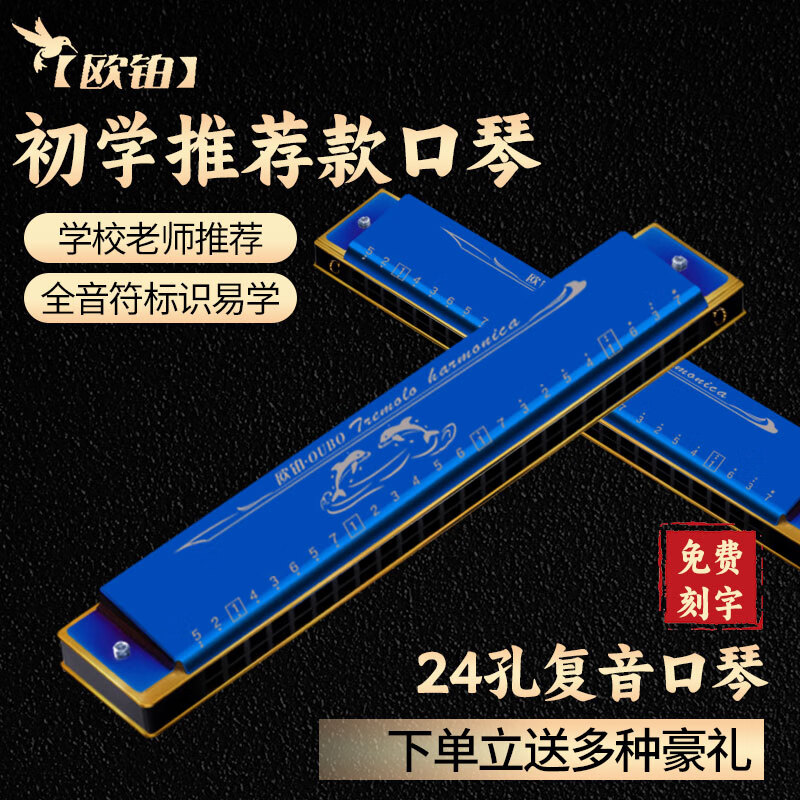欧铂24孔复音c调布鲁斯口琴初学者入门成人专业演奏级正品官方旗舰店
