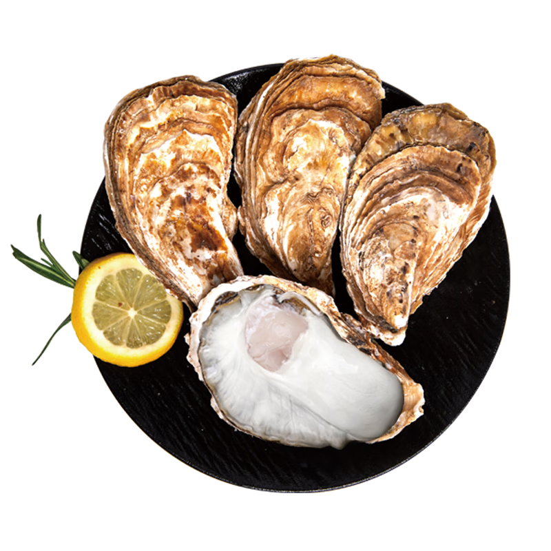 鲜京采 鲜活生蚝4XL 净重5斤 10-13只 鲜活到家 生鲜海鲜 源头直发