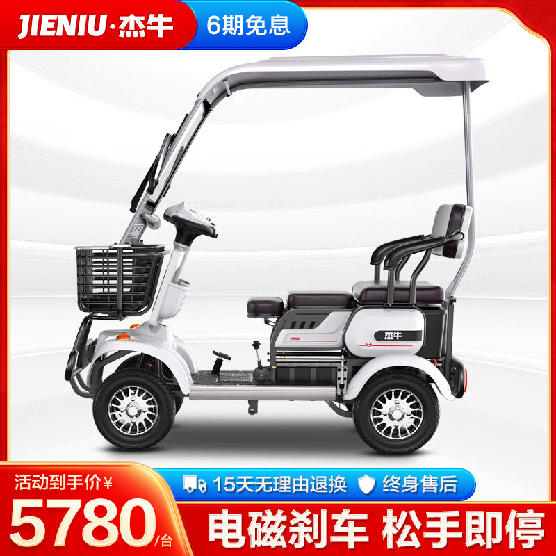 ���ڲ�������ţ����綯�����ֳ�С��ʿ���˵�ƿ�������������ι۹⳵ ���ɲ��ح650Wح60V20AHǦ��